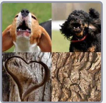 4 Pics 1 Word Level 9