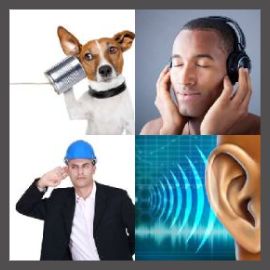4 Pics 1 Word Level 1302