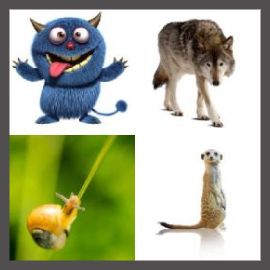 4 Pics 1 Word Level 1304