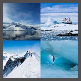 4 Pics 1 Word Level 1359