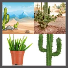 4 Pics 1 Word Level 1553