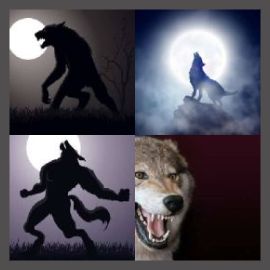 4 Pics 1 Word Level 2081