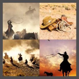 4 Pics 1 Word Level 2088