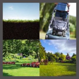 4 PICS 1 WORD LEVEL 2103