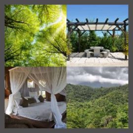 4 Pics 1 Word Level 2143
