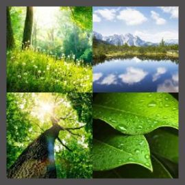 4 PICS 1 WORD LEVEL 2169