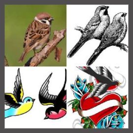 4 PICS 1 WORD LEVEL 2221