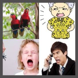 4 PICS 1 WORD LEVEL 2226
