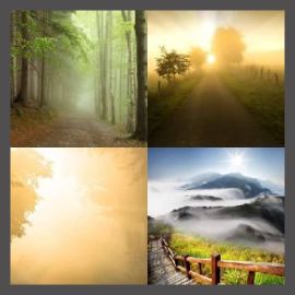 4 Pics 1 Word Level 2319