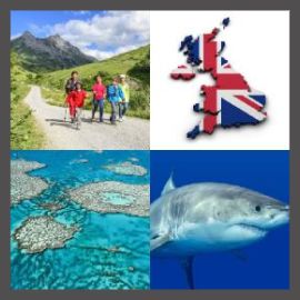 4 Pics 1 Word Level 2343
