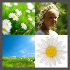 4 PICS 1 WORD LEVEL 2387