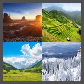 4 Pics 1 Word Level 2490