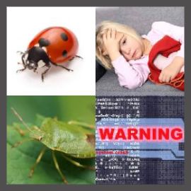 4 PICS 1 WORD LEVEL 2502