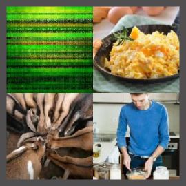 4 PICS 1 WORD LEVEL 2537