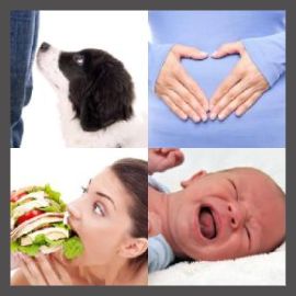4 PICS 1 WORD LEVEL 2567