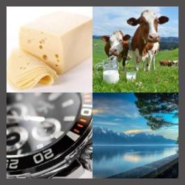 4 Pics 1 Word Level 2632