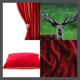 4 Pics 1 Word Level 2634