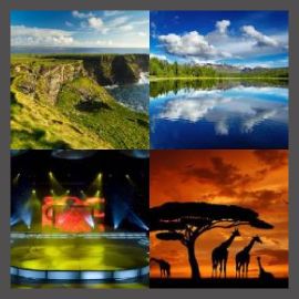 4 Pics 1 Word Level 2719