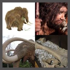 4 Pics 1 Word Level 2733