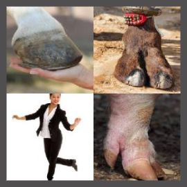 4 PICS 1 WORD LEVEL 2858