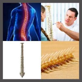 4 PICS 1 WORD LEVEL 2863