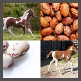 4 Pics 1 Word Level 2883