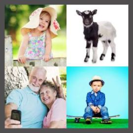 4 PICS 1 WORD LEVEL 2894