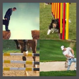 4 PICS 1 WORD LEVEL 2896