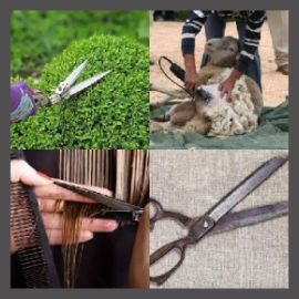 4 PICS 1 WORD LEVEL 2911