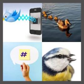 4 Pics 1 Word Level 2918