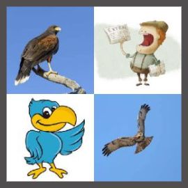 4 Pics 1 Word Level 2941