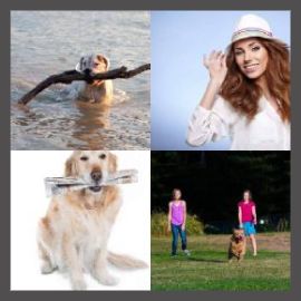 4 PICS 1 WORD LEVEL 2948