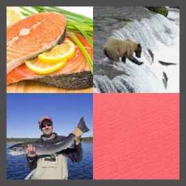 4 PICS 1 WORD LEVEL 2950