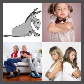 4 PICS 1 WORD LEVEL 2956