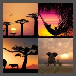 4 Pics 1 Word Level 2958
