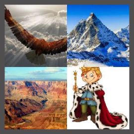 4 Pics 1 Word Level 3229