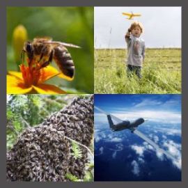 4 Pics 1 Word Level 691