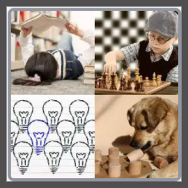 4 Pics 1 Word Level 2919