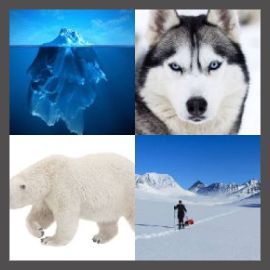 4 Pics 1 Word Level 3698